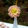 Daydreamer - Image 3